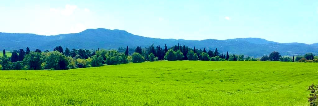 m_oliveres's profile banner image