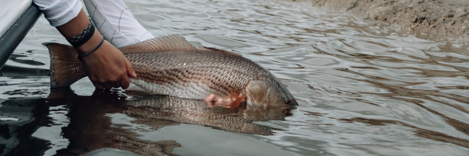 RedfishDistrict's profile banner image