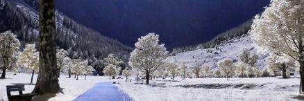 polarys_66's profile banner image