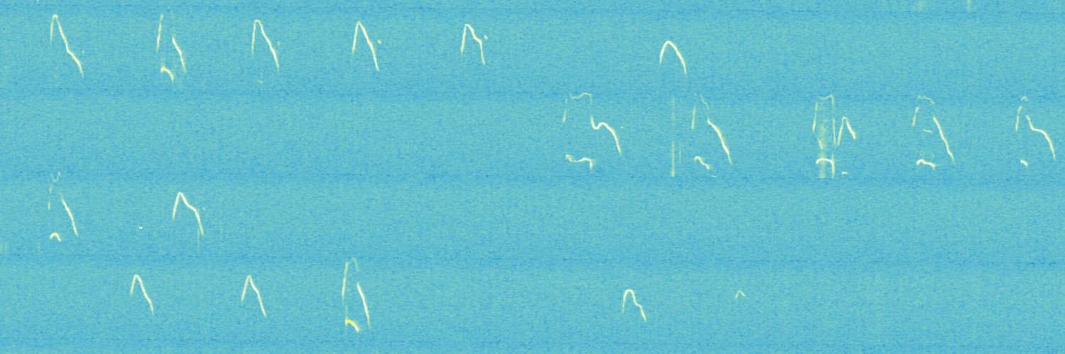 Marcelo Dietrich banner