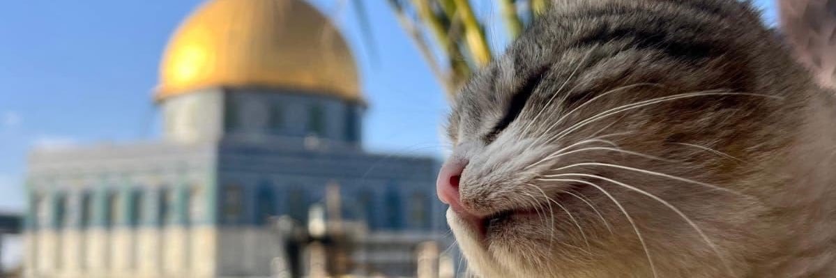 a_swailamm's profile banner image