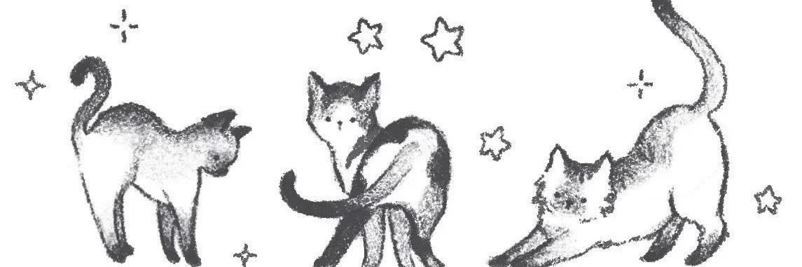 kindagabs15's profile banner image