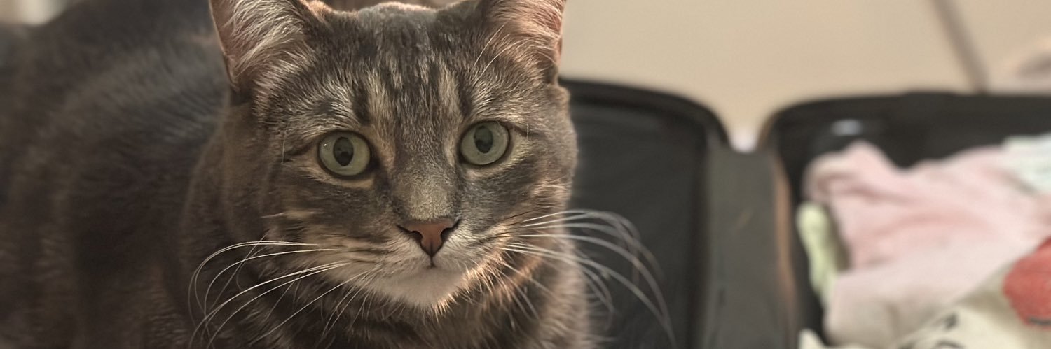 JustGordon_'s profile banner image
