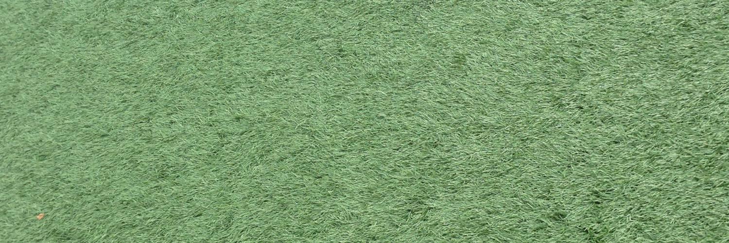 ScooterAndStuff's profile banner image