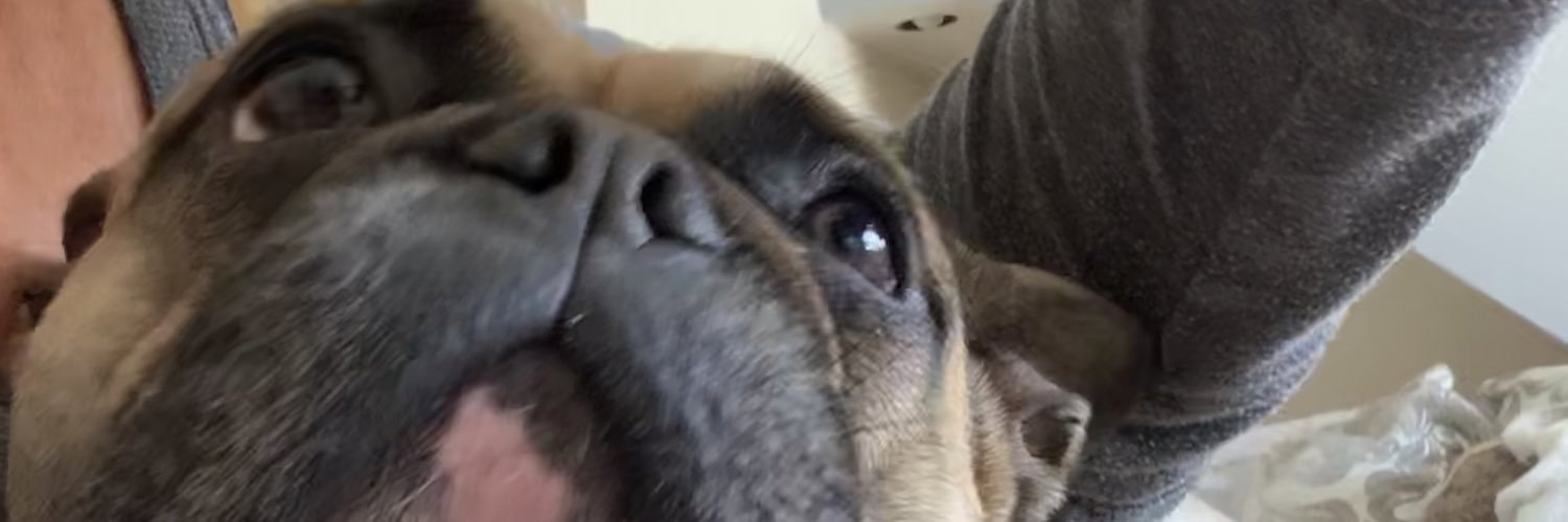 gorner_0's profile banner image
