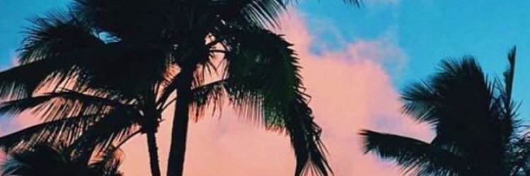jharmayee's profile banner image