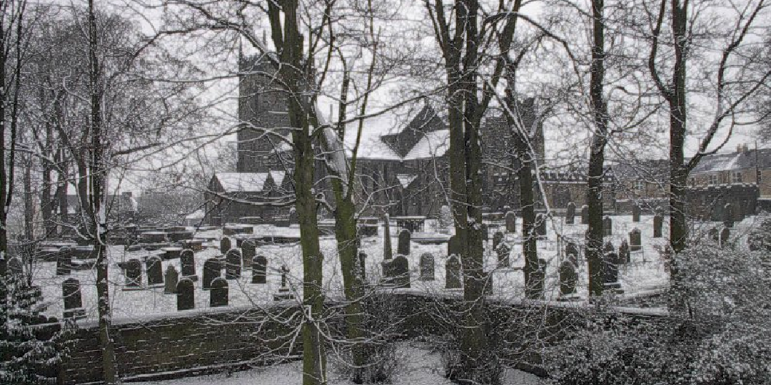 GuiseleyNet's profile banner image