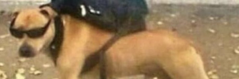 chan_2lit's profile banner image
