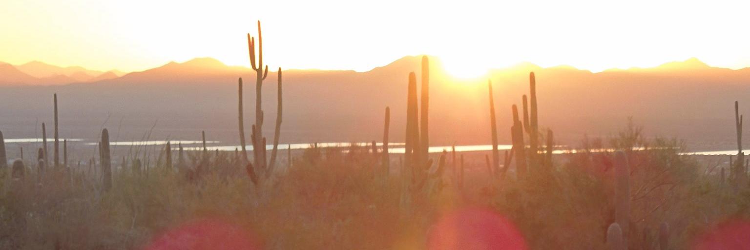 Burkholder2015's profile banner image