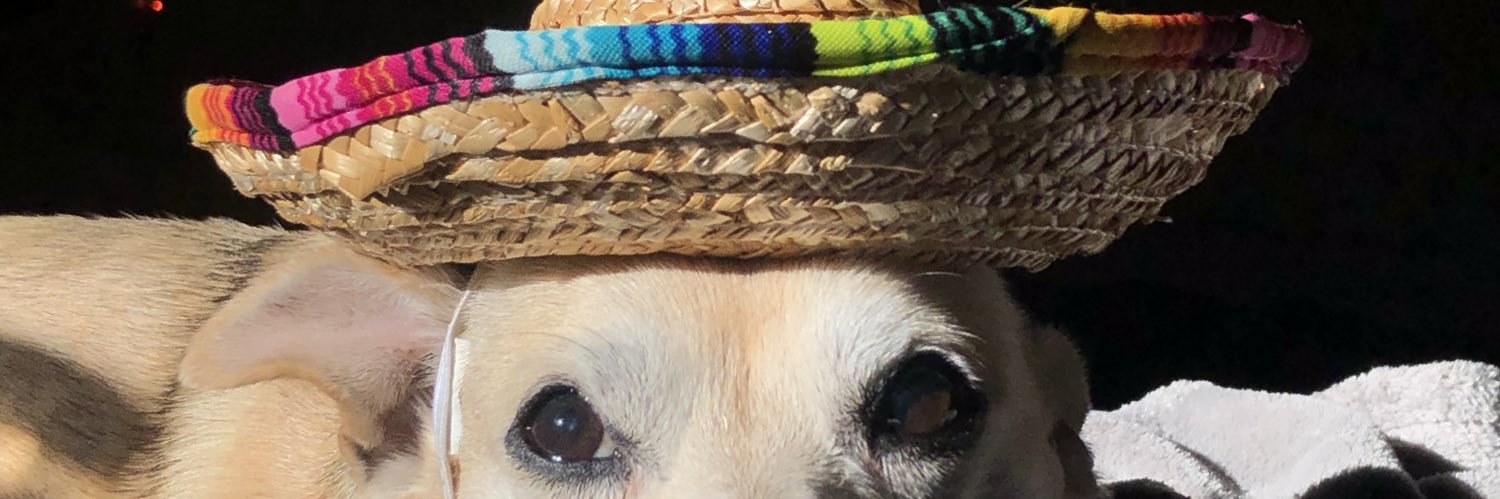 belmilaa's profile banner image