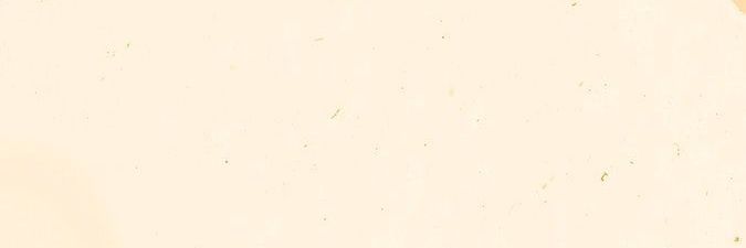 carnationess's profile banner image