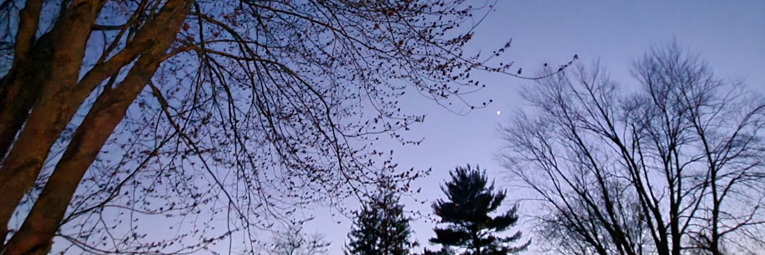 AronuisJ's profile banner image
