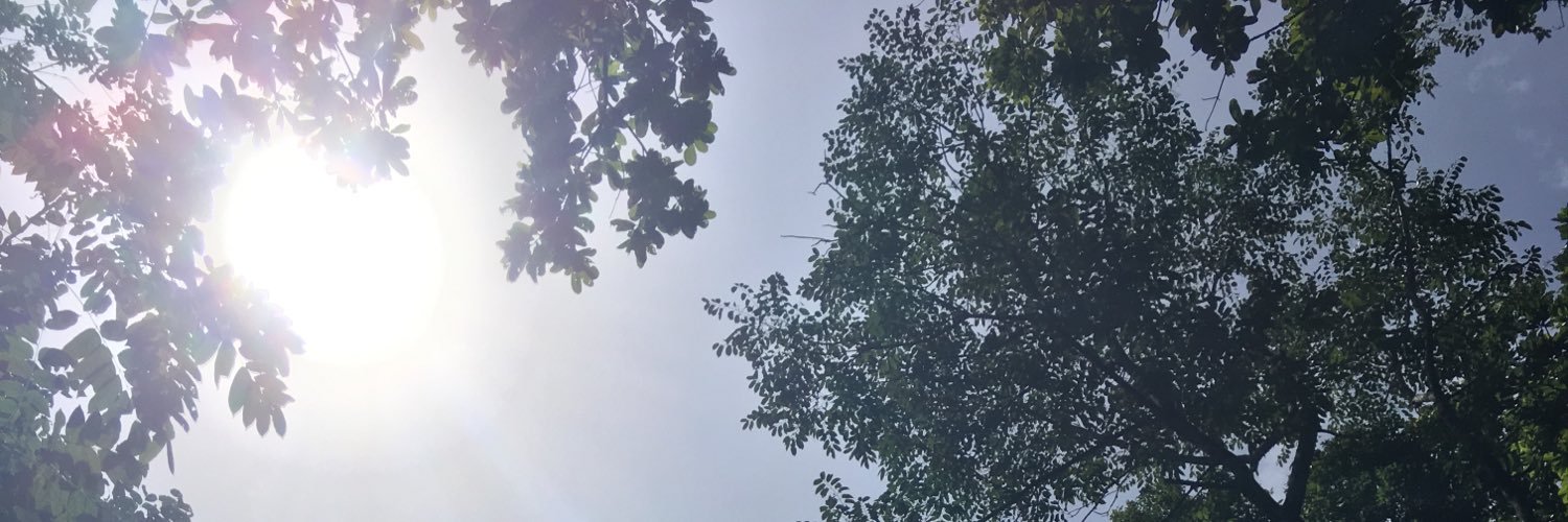 andreazharay's profile banner image