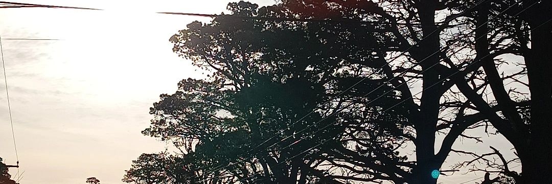 Pii_Spdr's profile banner image