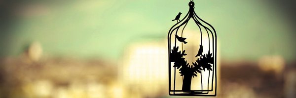 _pratiksha_geek Profile Banner