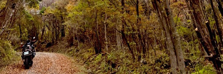 長狼@翁.コツコツケアー banner