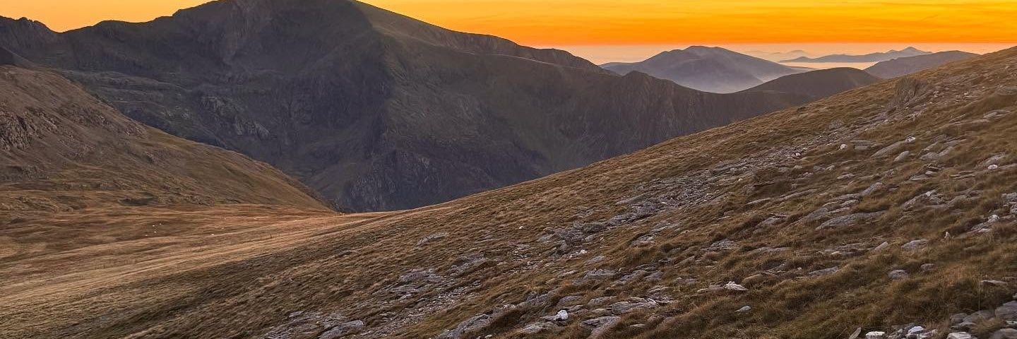 Barrycollect's profile banner image