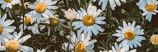 meryft5sos's profile banner image