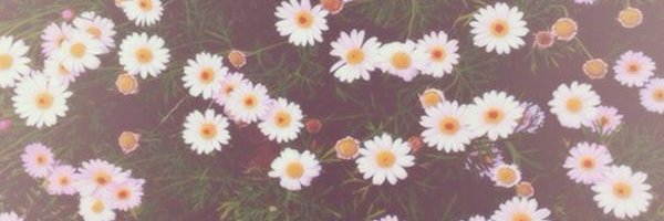 michellecdag's profile banner image