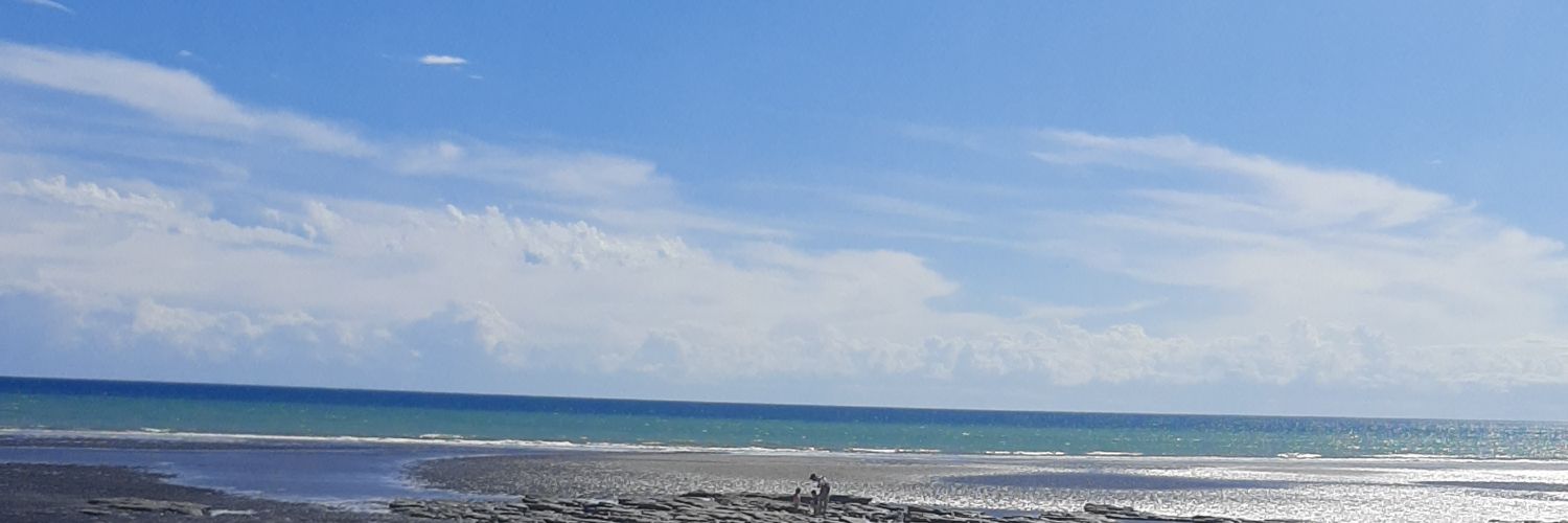 Geno Molinari banner