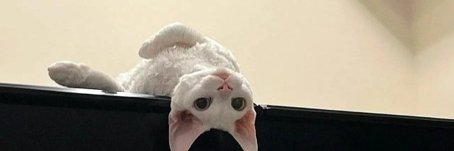 GaryandDavid's profile banner image