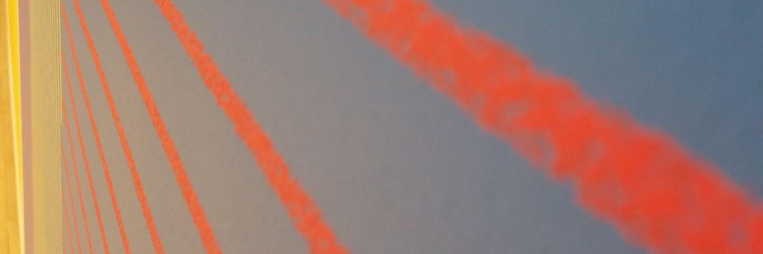 Ed Swenson banner