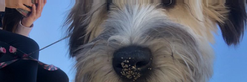 BreanaGomez's profile banner image
