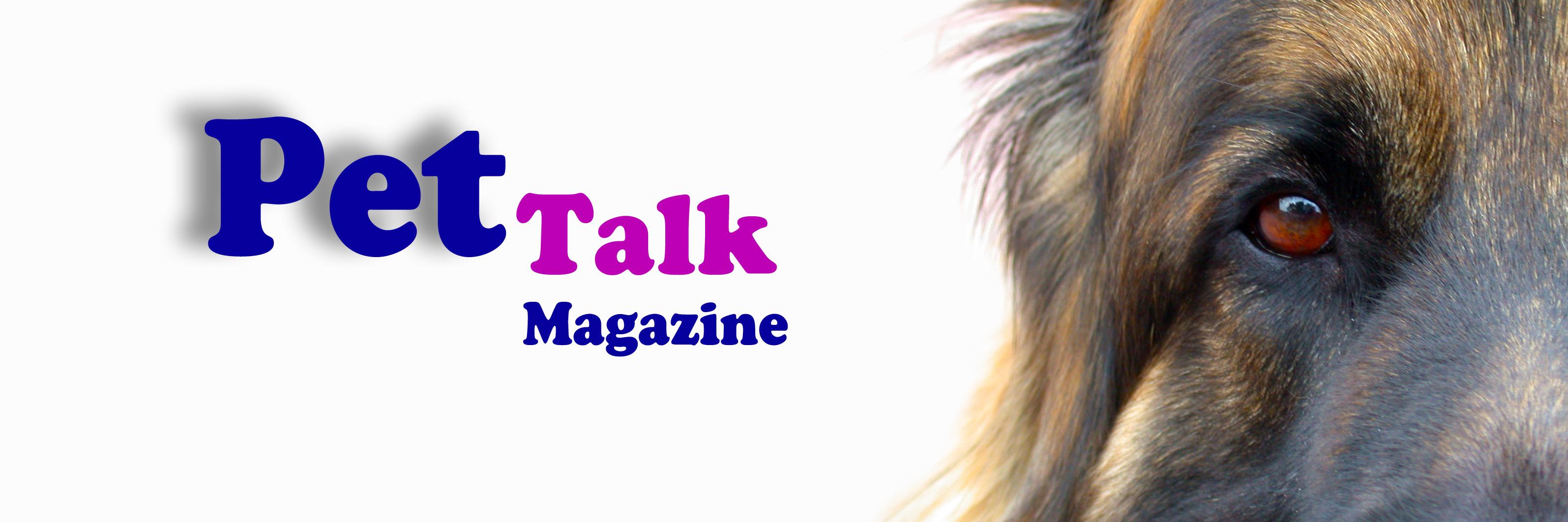 Pettalkmag's profile banner image