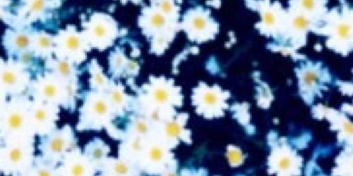 maryaxyoung's profile banner image