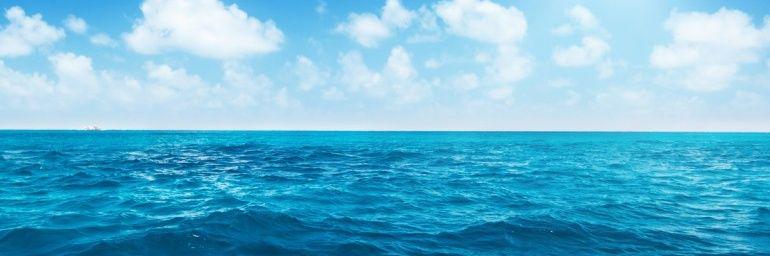 TheIslandTurtle's profile banner image