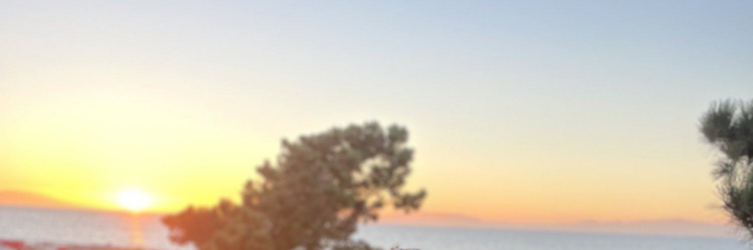 CyndiMallory's profile banner image