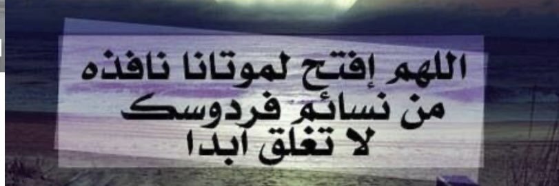 مشرف العنزي banner