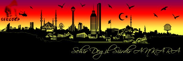 SerCorp06's profile banner image