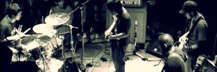 tigerdrum0916's profile banner image
