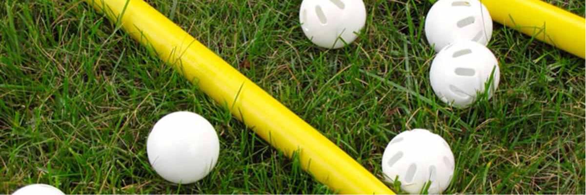 WiffleLife_BWC's profile banner image
