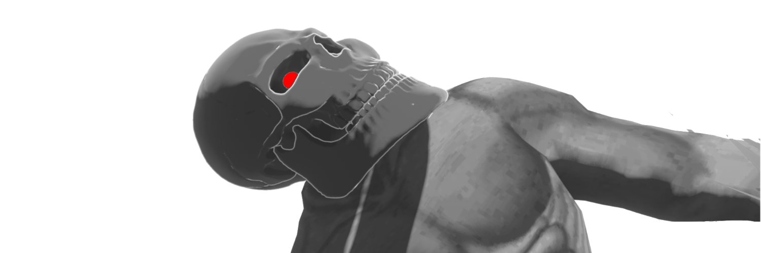 PowerNinjades's profile banner image