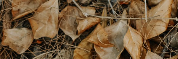 AlexanderFB Profile Banner