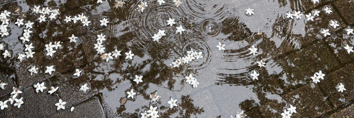 hoshi_te's profile banner image