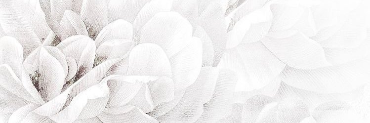 MeshaelAlmazrou's profile banner image