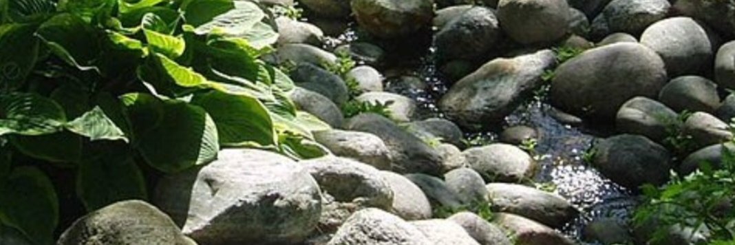 NabaaFaten's profile banner image