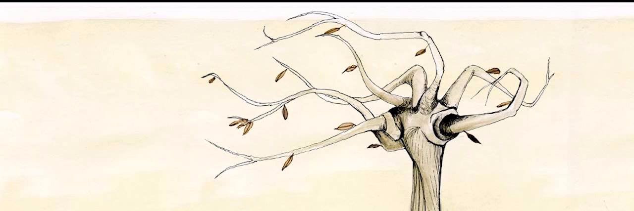 Laura_Sierrac's profile banner image