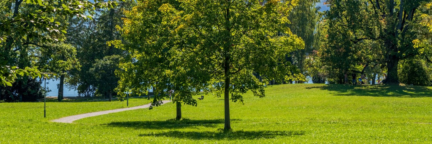 BALI_NCF's profile banner image