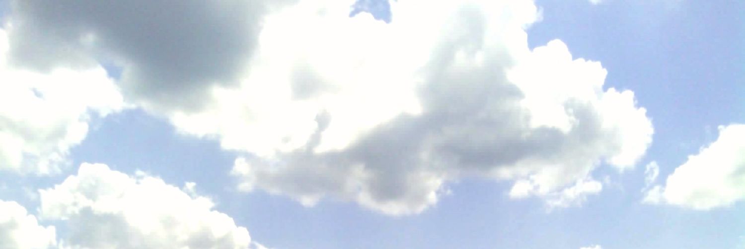 nemoliii's profile banner image