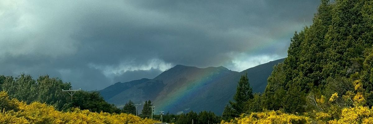 notmarceee's profile banner image