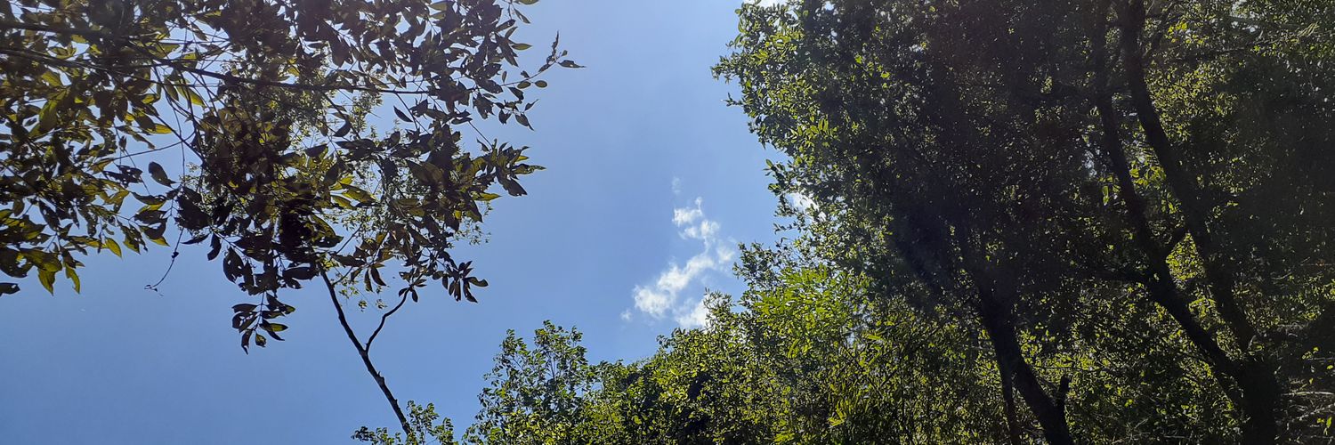 opscindy_'s profile banner image