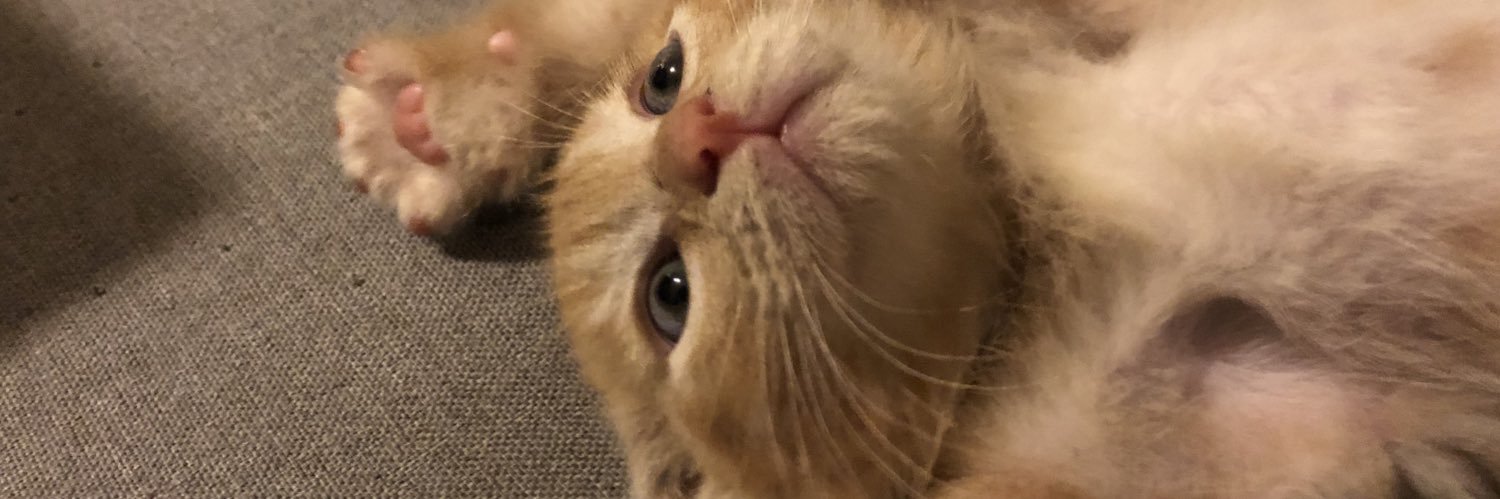fumidrums's profile banner image