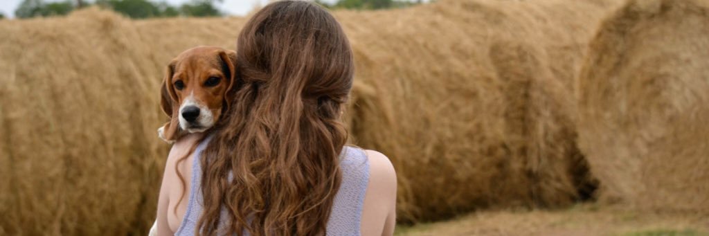 MPLastovica's profile banner image