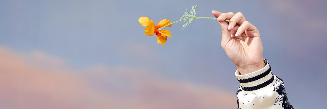 choitscherry's profile banner image
