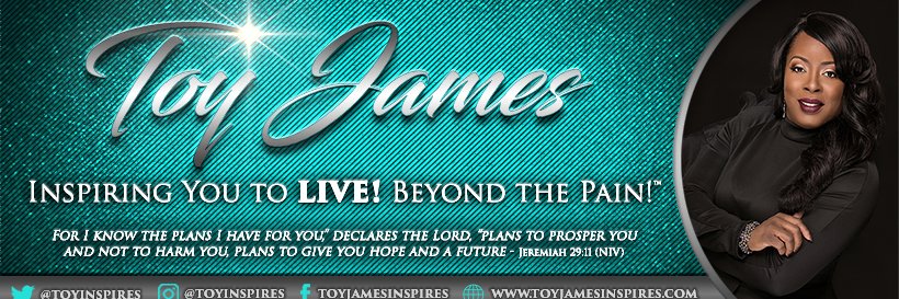 Toy James banner