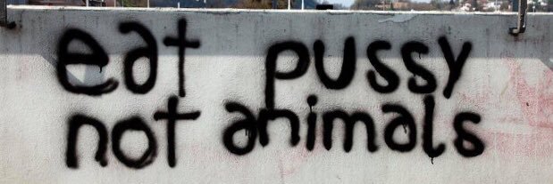 tiny_arya's profile banner image